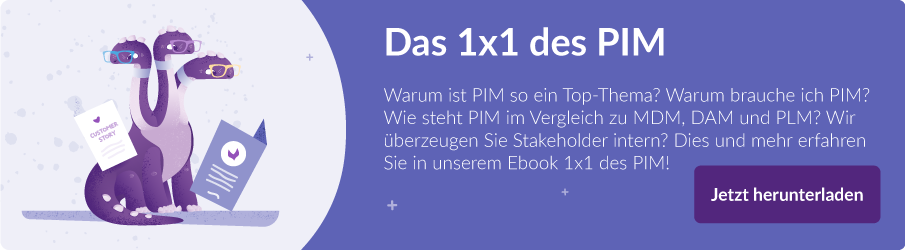 Was ist PIM - das 1x1 des PIM