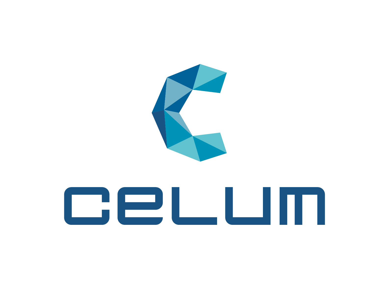 Techno Partner - Celum