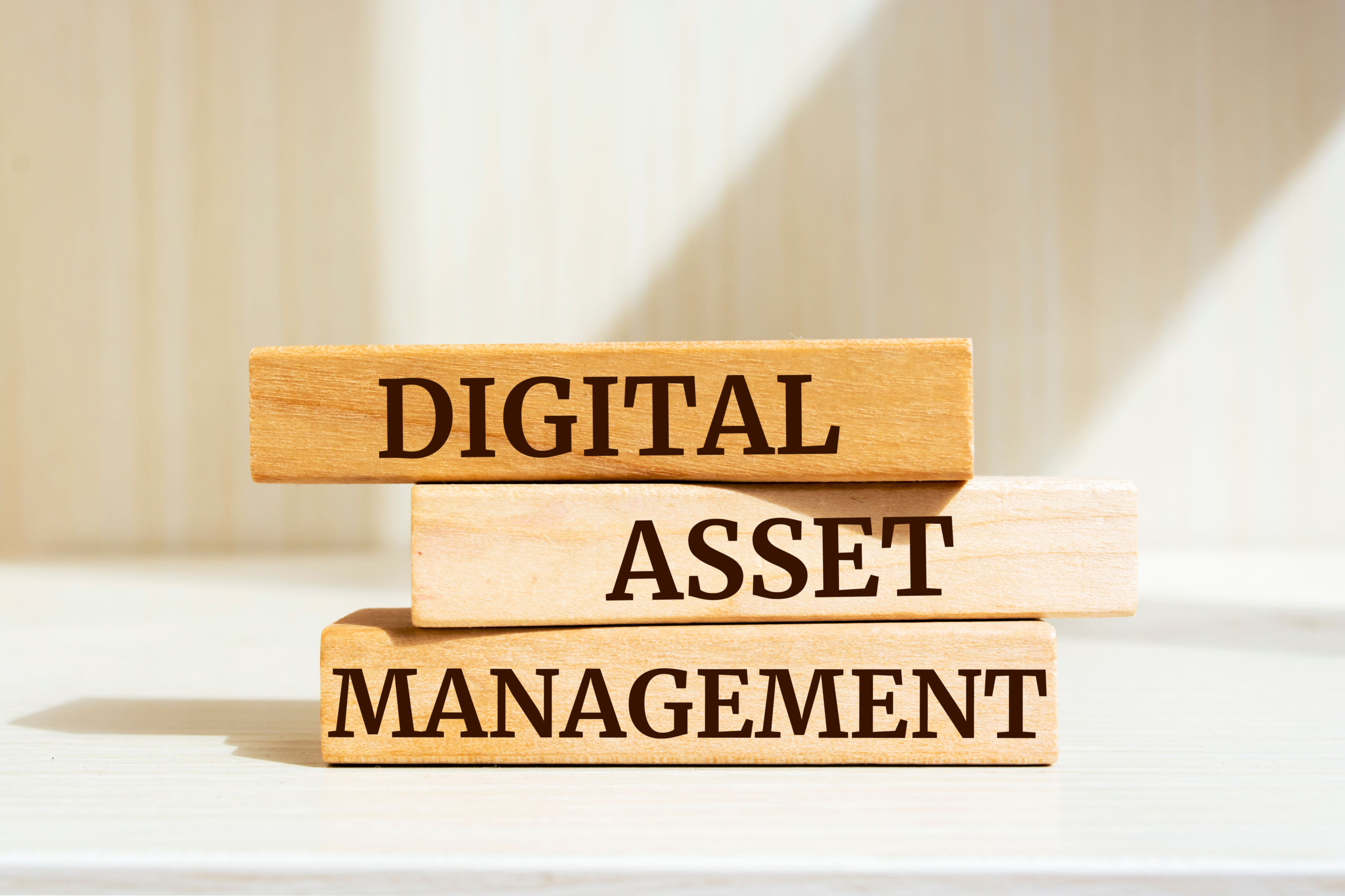 What Is a Digital Asset Management (DAM) System?