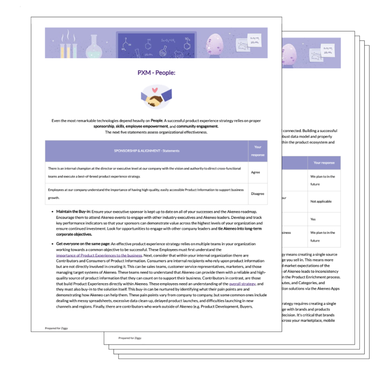 Akeneo PX Strategy Assessment