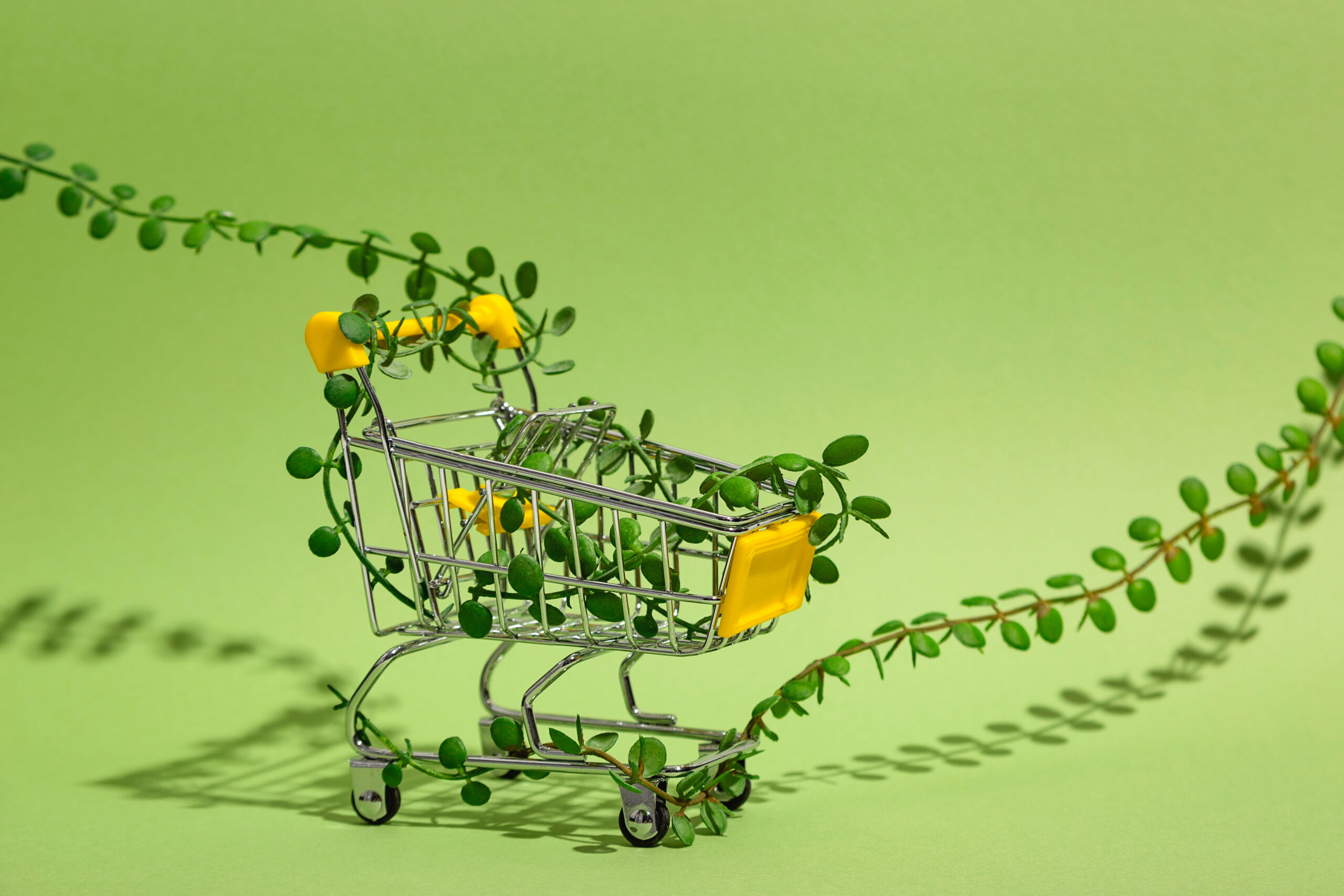 The Secret to Building Smart & Sustainable Supply Chains